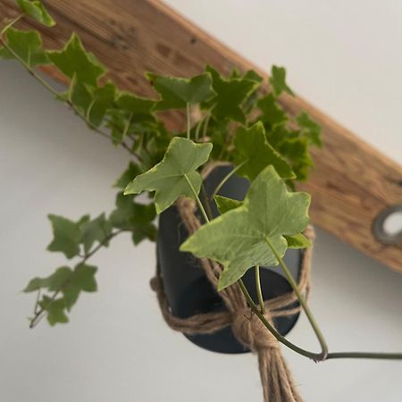 Arnfels Residences Am Tor Zur Suedsteirischen Weinstrasse Zewnętrze zdjęcie